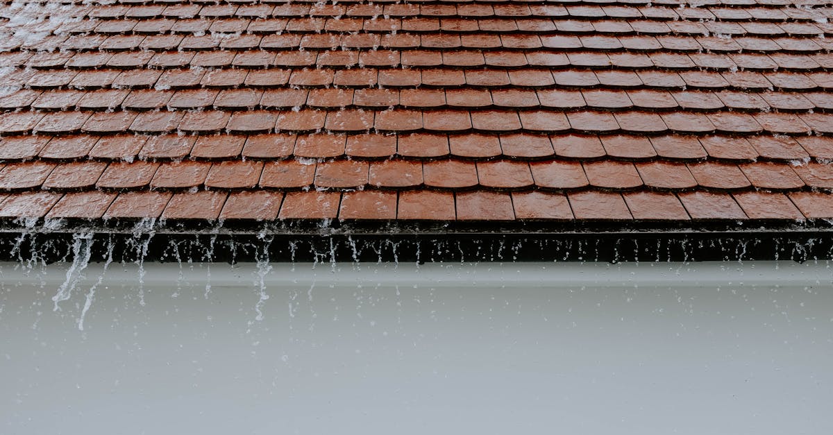 Why Reputation Matters in the Roofing Industry